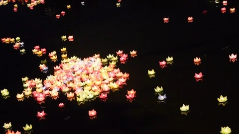 River of lotus lantern flowers Stock Footage 90346566