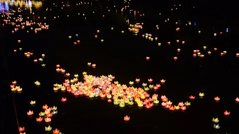 River of lotus lantern flowers Stock Footage 90346696
