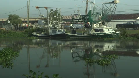 River in Louisianna Stock Footage 144840719