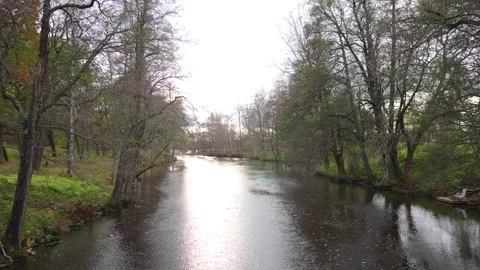 River low-altitude view. Panning camera around the forest, leaves falling fro Video stock 221639223