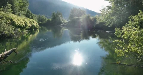 River low pass, lush, reflected sunlight - 5K Video stock 227983394