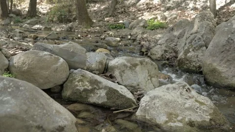 River with low water level 4k Stock-Footage 242875042