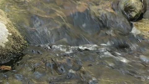 River with low water level 4k Stock-Footage 242875137