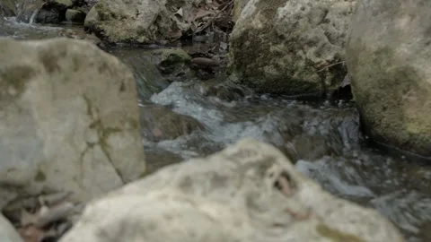 River with low water level 4k Stock-Footage 242875145