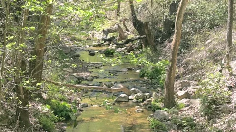 River with low water level 4k Stock-Footage 242875225