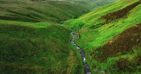 River in a lush valley Stock Footage 312413377