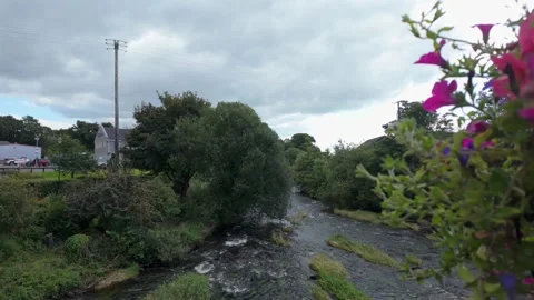 River Maine from bridge at Cullybackey Video stock 317782463