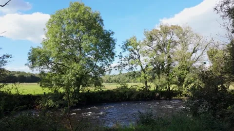 River Maine Cullybackey Woods Stock-Footage 317782851