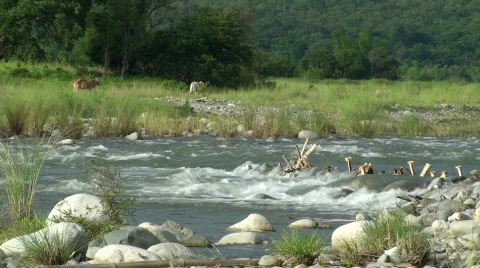 River in Manabo, Philippines #1 Stock Footage 636353