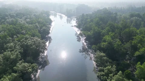 A river with mangrove trees on both sides Stock-Footage 314390017