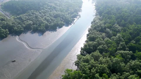 A river with mangrove trees on both sides Vidéo 325840821