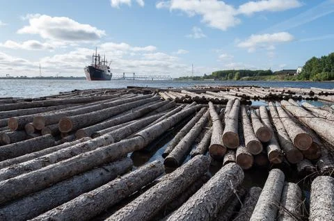 River with many floating timber rafts Stock Photos