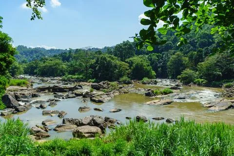 A river with many rocks in the jungle Stock Photos