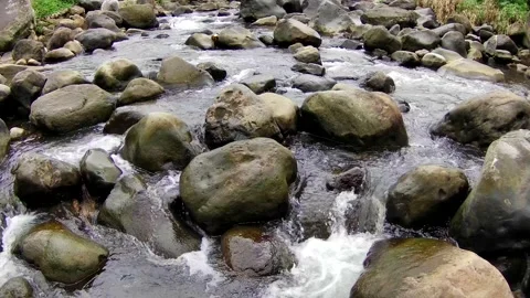 River with many stones Stock Footage 167799822