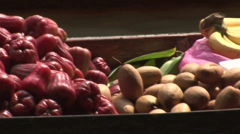 River market Stock Footage 535874