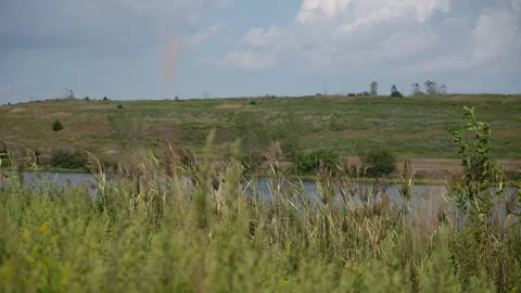 River Meadow With Distant Hills And Reflective Pond, Tall Foreground Grasses Stock Footage 323778045