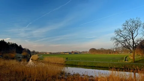 River meadow dog sky Stock Footage 71099283