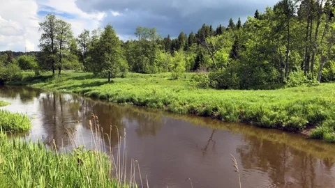 River in the meadows Stock Footage 90863167