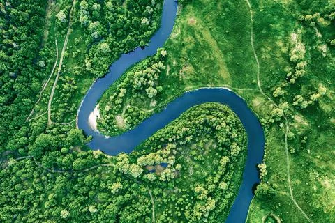 River in the meadows Фото