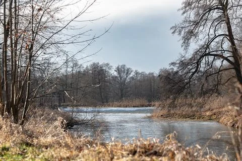River Meandering Through Winter Forest Landscape Фото