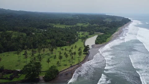 River Meeting the Surf Along Palm-Fringed Coastline in Bali, Indonesia Видео 346532042