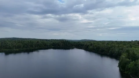 River meets forest Stock Footage 281304953