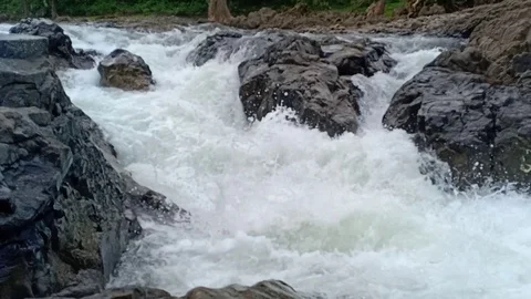 River in melghat Stock Footage 117649093