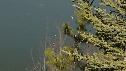 River melt ice shoals Stock Footage 78982654
