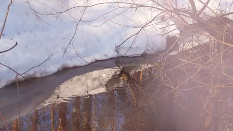 A river of melted snow in spring 스톡 동영상 342595626