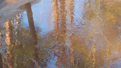 A river of melted snow in spring 스톡 동영상 342595673