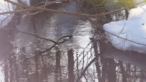 A river of melted snow in spring Stock Footage 346034906