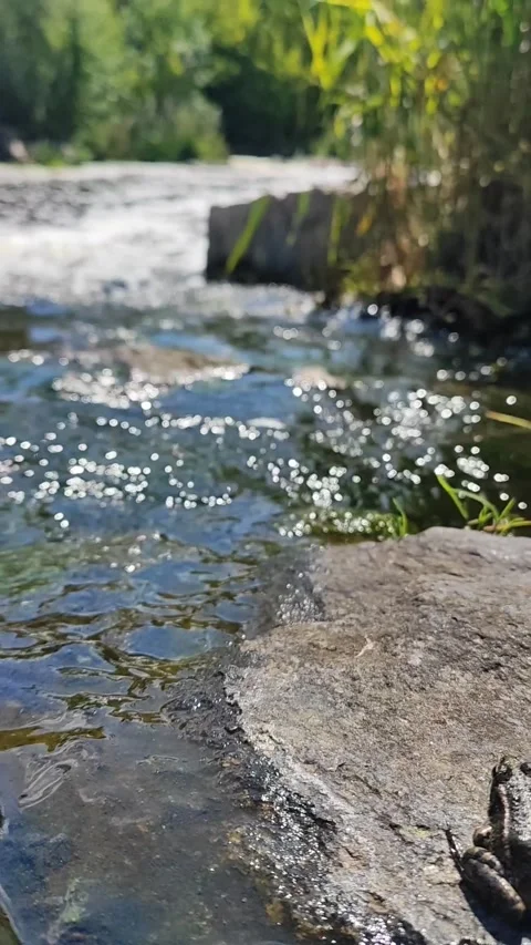 A river in the middle of a beautiful canyon Stock Footage 250650829