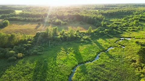 River in the middle of fields and forest. Aerial sunrise shot. Stock Footage 169870781