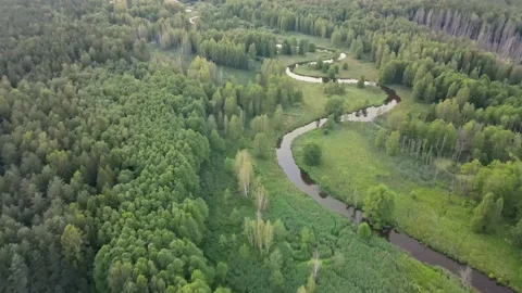 River in the middle of fields and forest. Aerial sunrise shot. Stockbeeldmateriaal 170130231