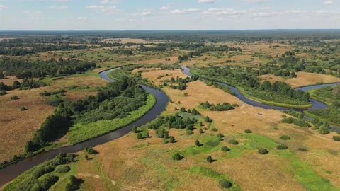 River in the middle of fields and forest. Aerial sunrise shot. Stock Footage 170130288
