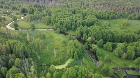 River in the middle of fields and forest. Aerial sunrise shot. Stock Footage 170130392