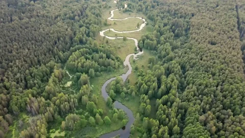 River in the middle of fields and forest. Aerial sunrise shot. Stock Footage 170130451