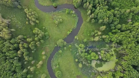 River in the middle of fields and forest. Aerial sunrise shot. Stock Footage 170130673