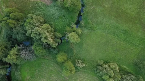 River in the middle of fields and forest. Aerial sunrise shot Stock Footage 170135969