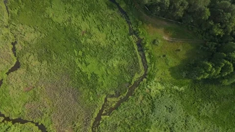 River in the middle of fields and forest. Aerial sunrise shot. Stock Footage 170136158