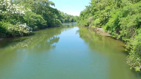 River in the middle of the forest in Angra dos Reis. River water currents Stock Footage 171008726