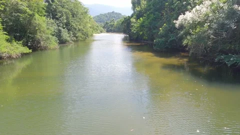 River in the middle of the forest. Dramatic video. River water currents Stock Footage 171241646