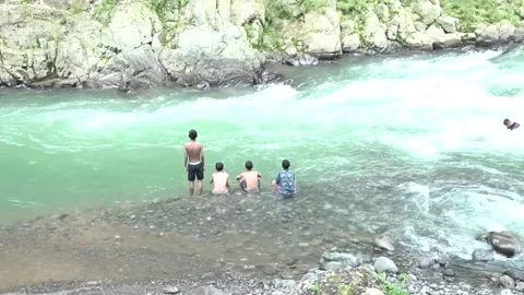 River in the middle of the forest 스톡 동영상 229362029