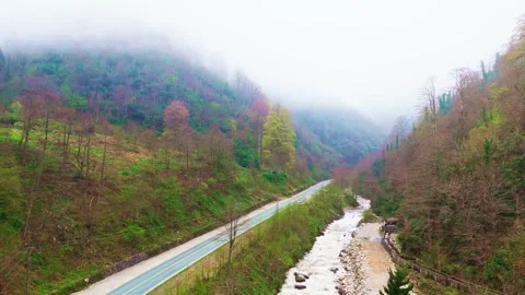 A river in the middle of a forest Video stock 272800462