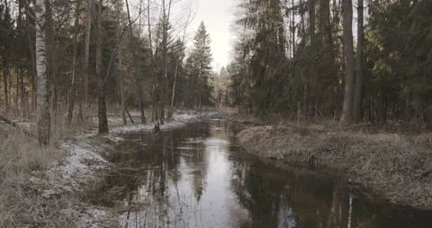 A river in the middle of the forest, winter, 4K Stock Footage 170584864