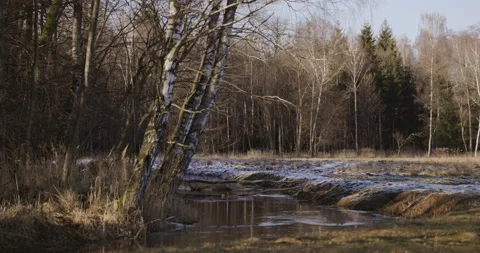 A river in the middle of the forest, winter, 4K Stock Footage 170586854