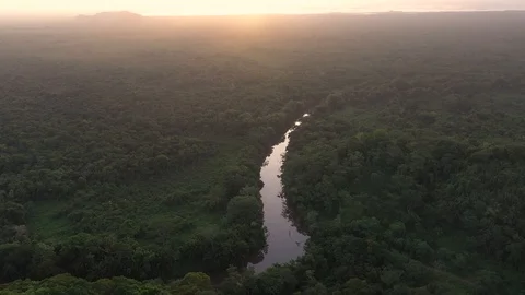 River in Middle of Jungle Sunset Drone Shot 4K Stock Footage 114848702