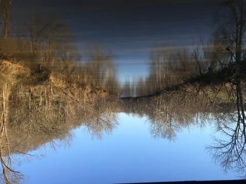 River in the middle with trees on the Sides Photos