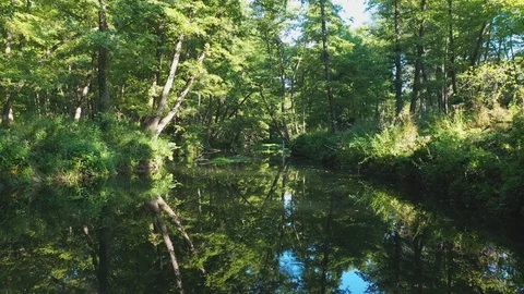 A river in the midst of dense thickets, shooting from a drone. Meditative video. Stock Footage 121951871