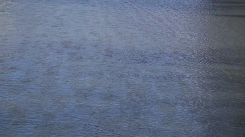 River Miljacka Stock Footage 36070269